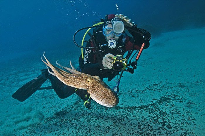 Folegandros scuba diving. Holidays folegandros. Boutique hotel folegandros.